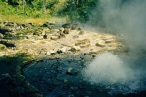 Hot Springs near Pai, Mae Hong Sorn Province, Northern Thailand  (13.4 K)