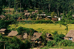 A village of  Karen hill tribe, Mae Hong Sorn Province, Northern Thailand.  (21.8 K)