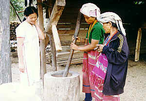 Karen-Frauen beim Reis dreschen, Provinz Chiang Mai, Nord-Thailand