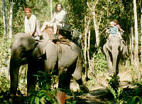 Elefanten-Reiten auf einem Trekking von Johnny Boy  (10.3 K)