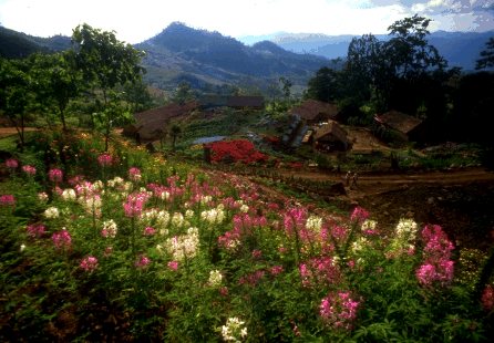 wunderbarer Ausblick in die Bergwelt von Nord-Thailand