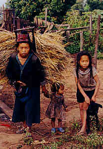 Frau und Kinder der "weissen" Hmong (Meo) bei einem Hmong-Dorf in der Provinz Chiang Rai, Nord-Thailand.